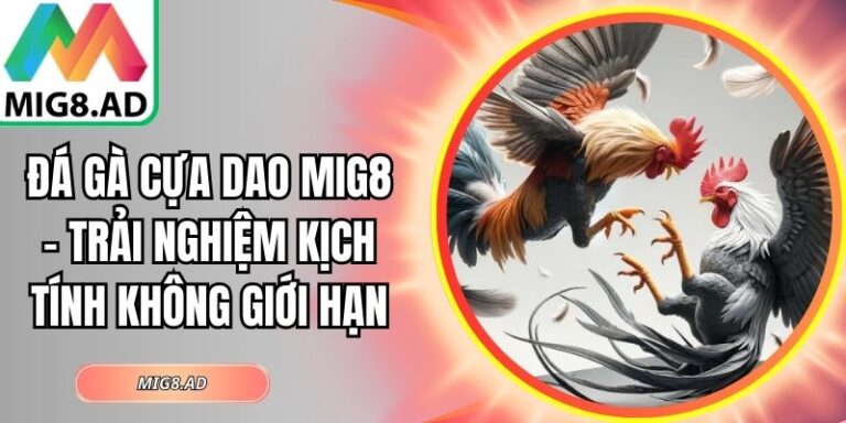 Đá gà cựa dao Mig8