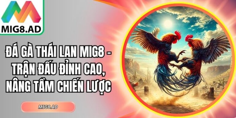 Đá gà Thái Lan Mig8