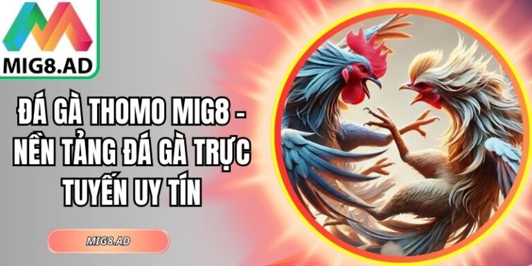 Đá gà Thomo Mig8